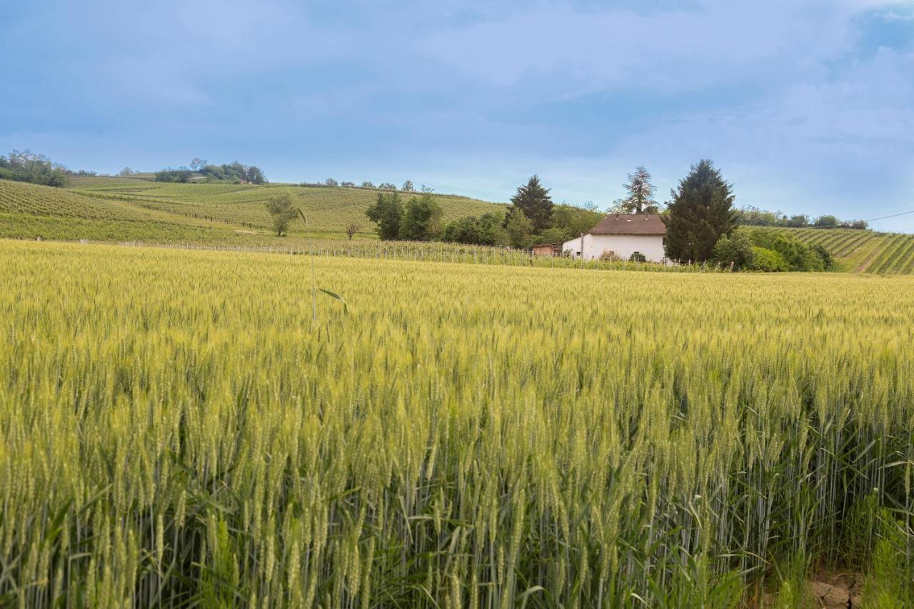 White Tail Organic Farm Villa Orsara Bormida Buitenkant foto